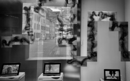 Renate Lerch
